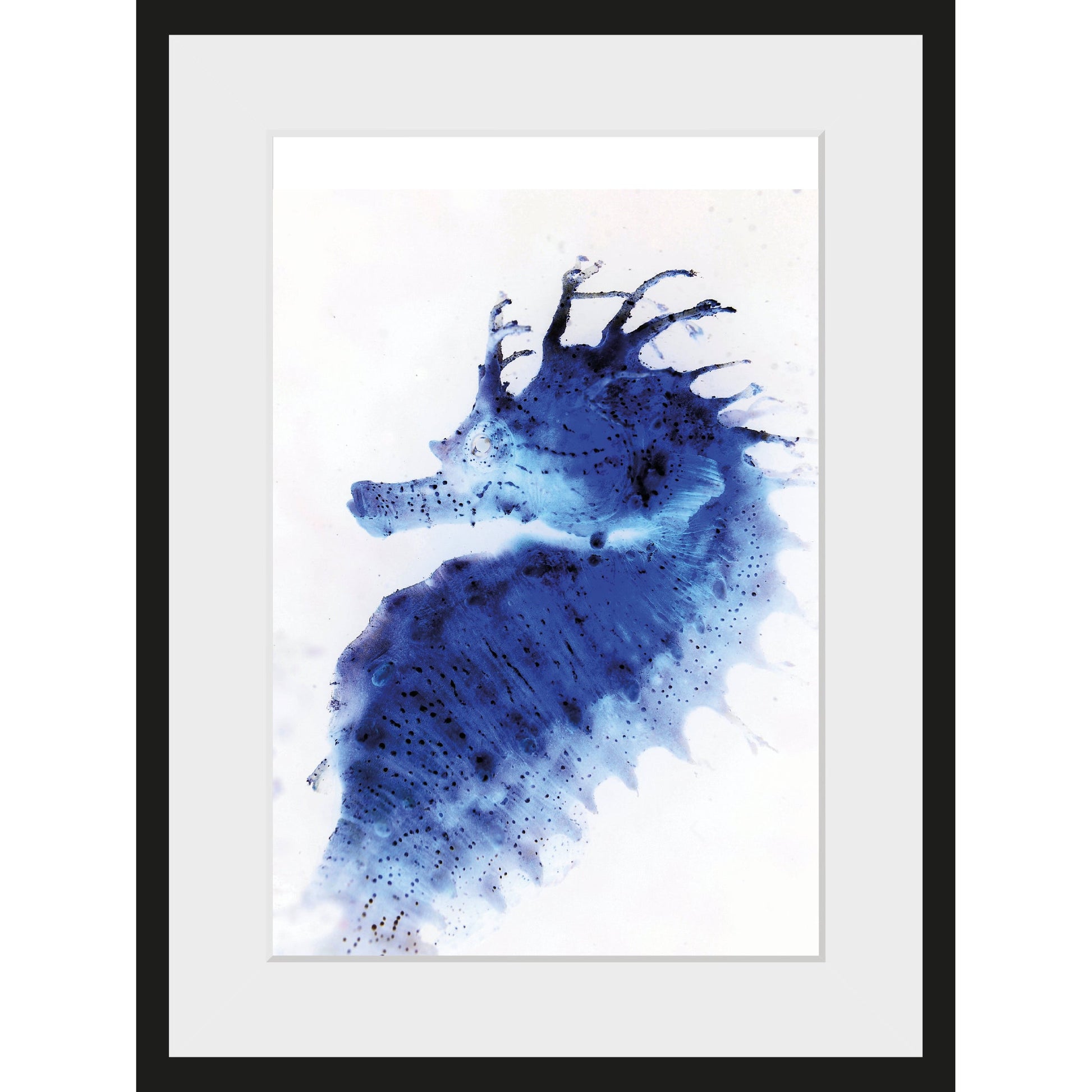 – Gerahmtes Horse Sea Kunstwerke Stilvolle queence Online - Blue kaufen Bild